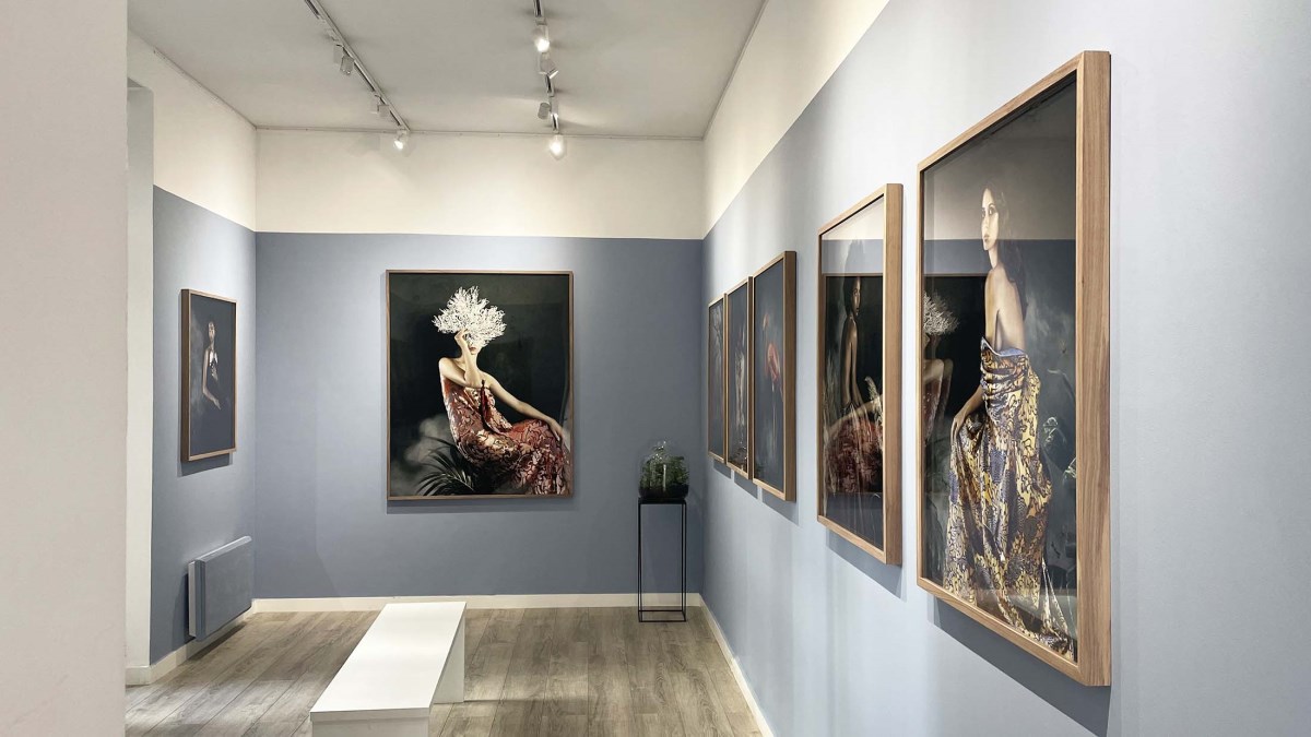 Phoenix Rise From The Ashes Galerie Xii